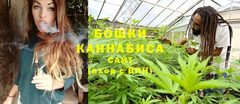 купить наркотики сайты  Орёл  Бошки марихуана SATIVA & INDICA 